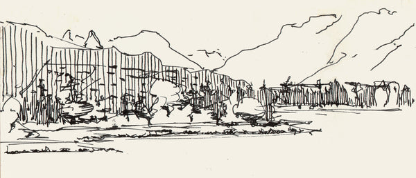 Plein Air Sketch - Stanley Park